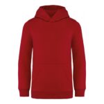 PS_NS404_HIBISCUSRED.jpg